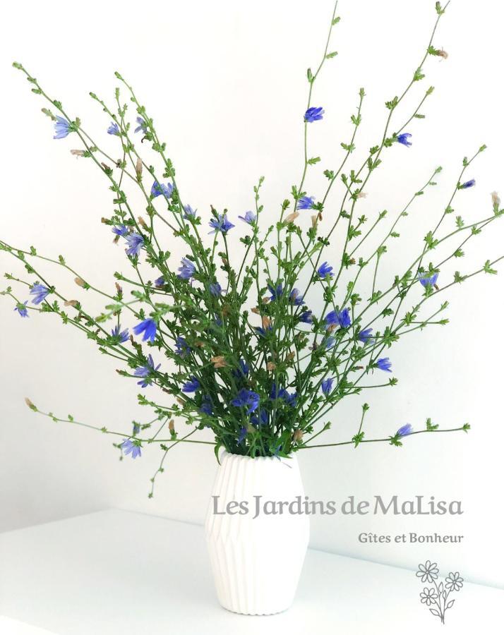 ホテル Les Jardins De Malisa Ferrieres-la-Verrerie エクステリア 写真
