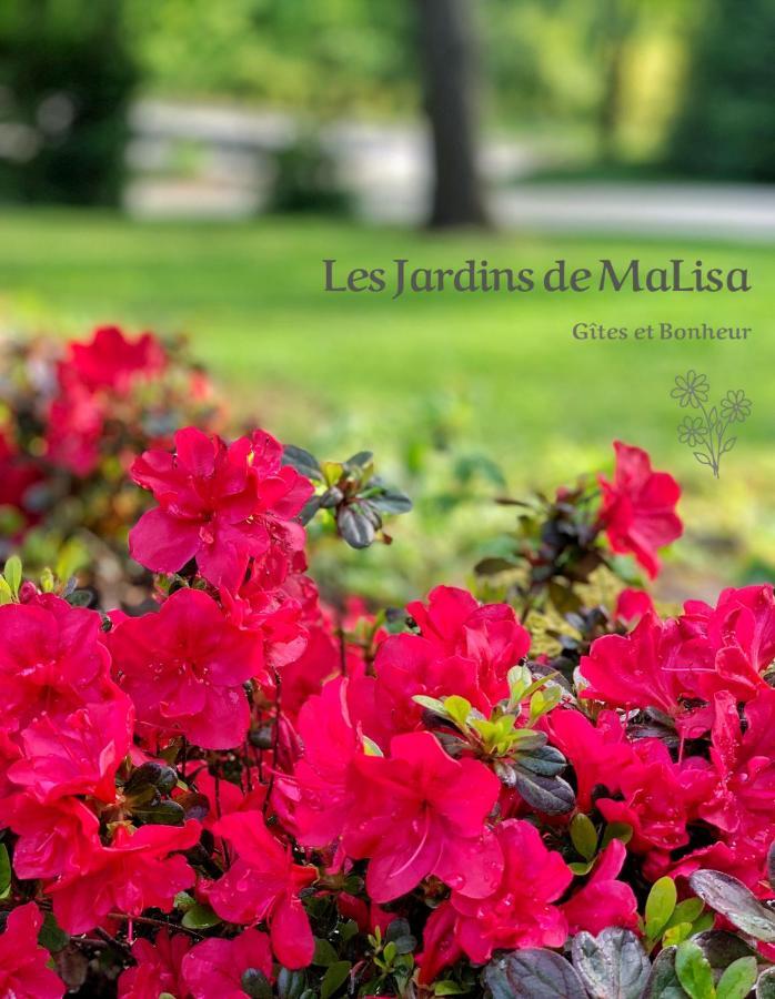 ホテル Les Jardins De Malisa Ferrieres-la-Verrerie エクステリア 写真